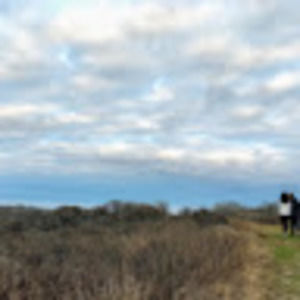 Meet your Posher, Amelia